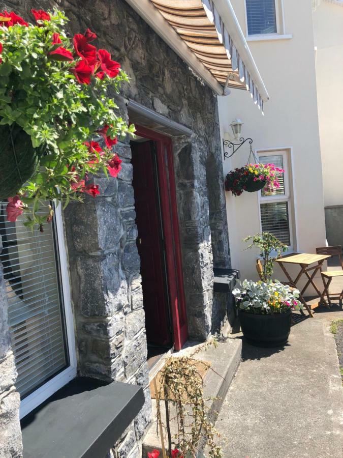 Amber Hill Bed and Breakfast Galway Buitenkant foto